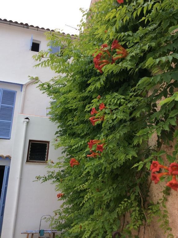Ithaka Vacacional Artá Exterior foto